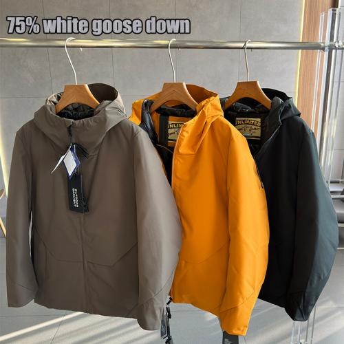 Oem High Quality 700gsm New Winter Casual Loose Warm Windproof Hooded Warm Down Jacket        